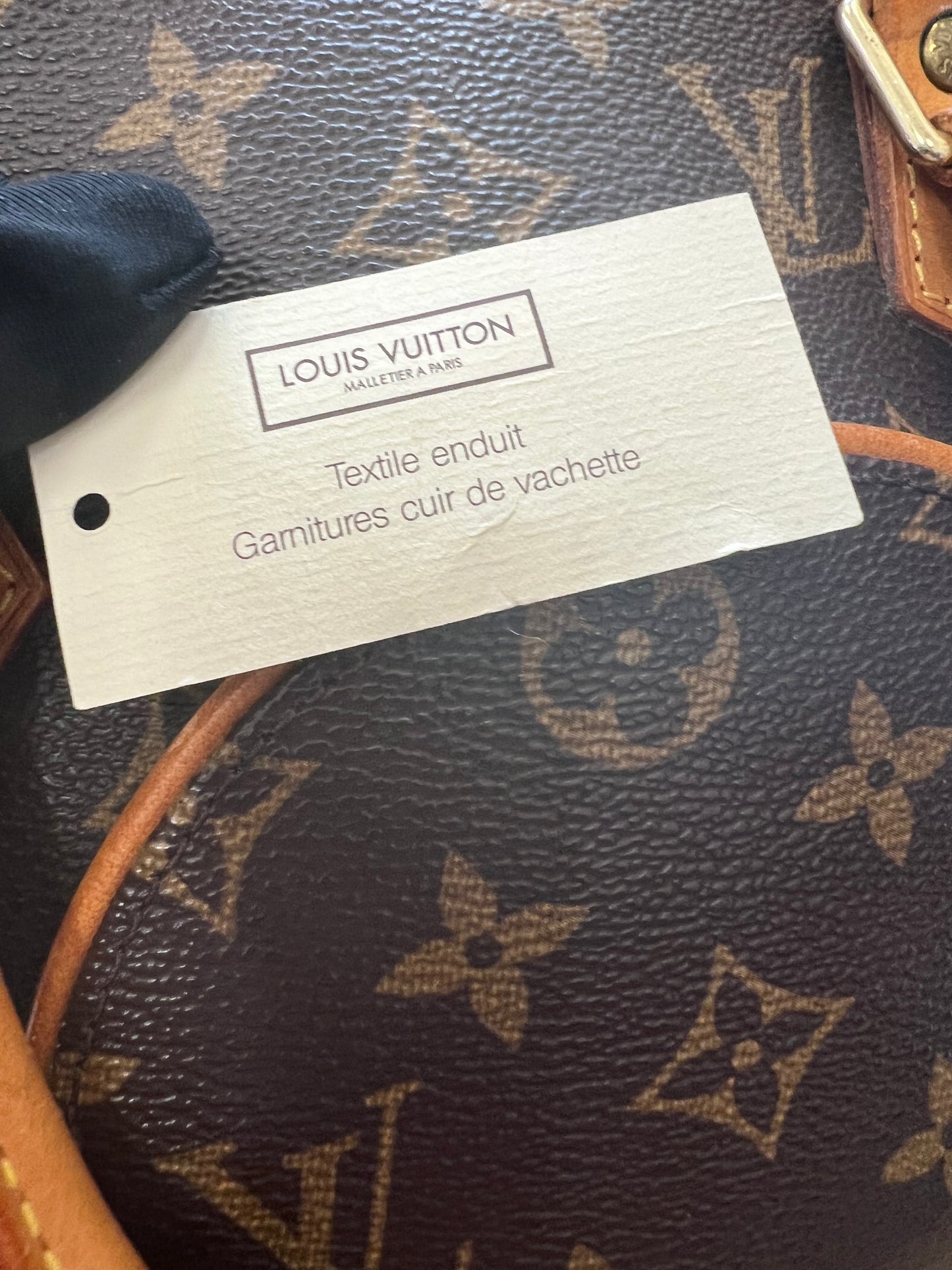 Pre-loved Louis Vuitton Vintage Ellipse Cloth Handbag PM Monogram