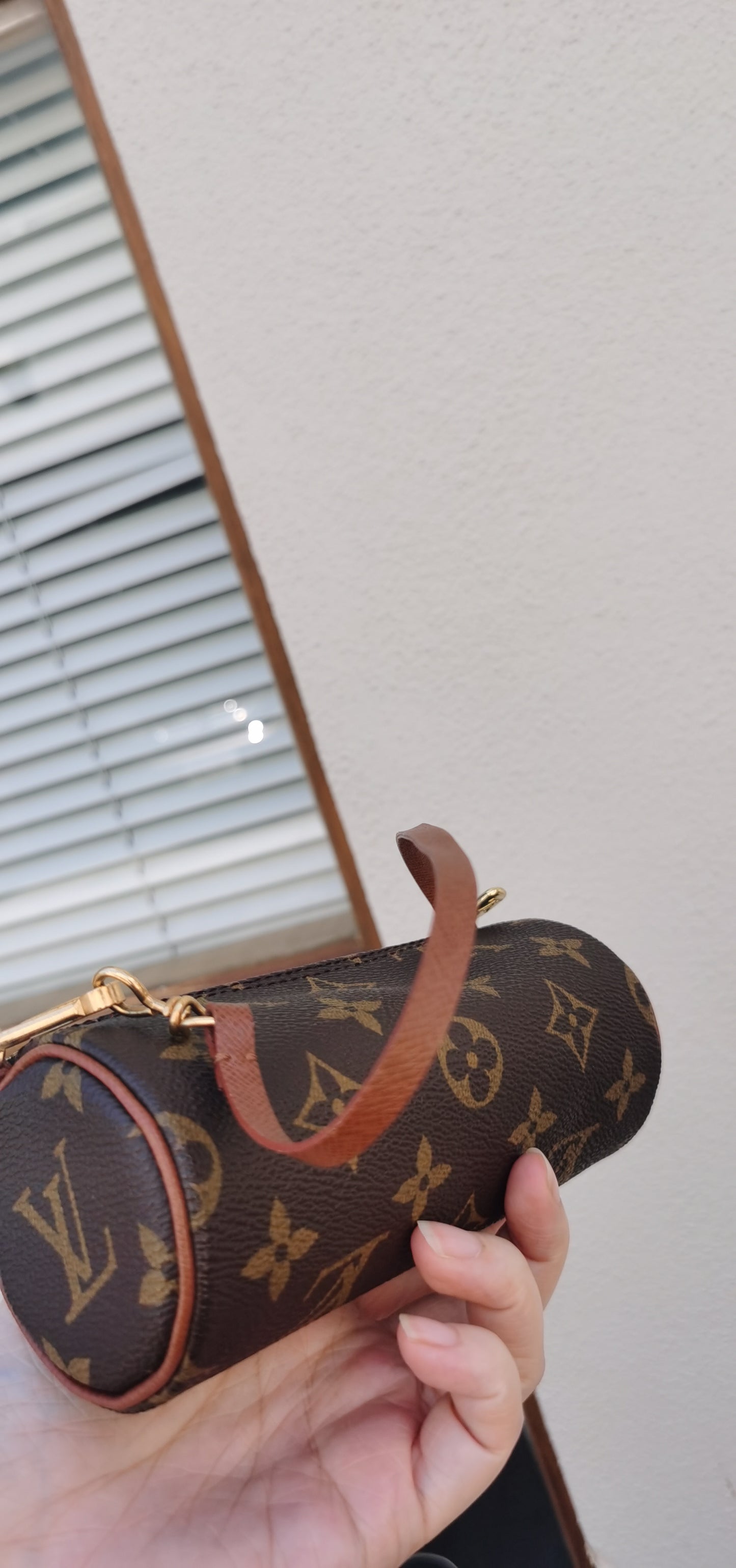 Pre-loved Louis Vuitton Papillon Leather Mini Bag