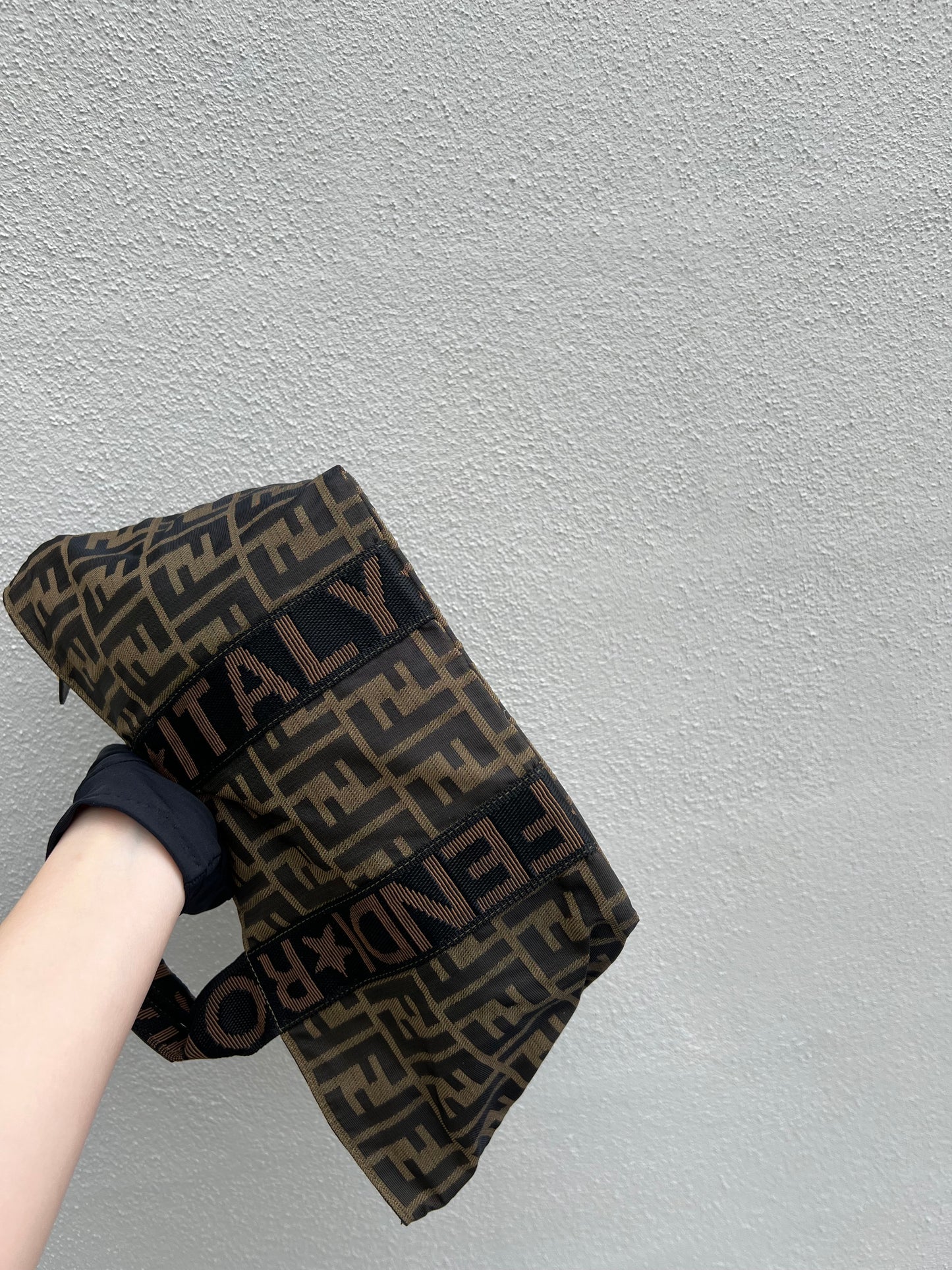 Pre-loved FENDI Zucca Canvas Hand Bag Brown
