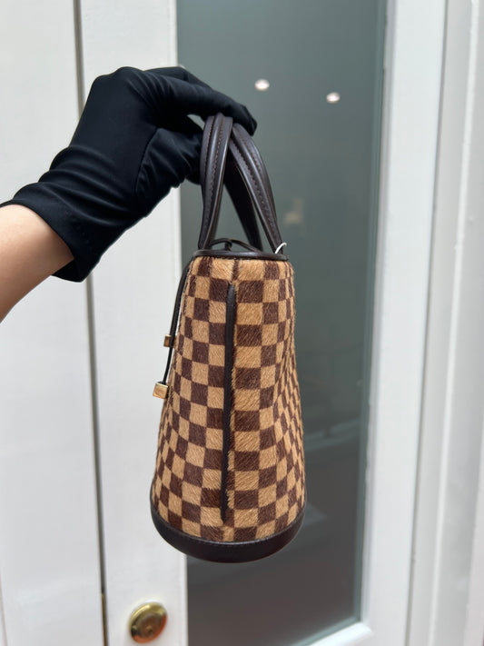 Pre-loved Louis Vuitton Damier Sauvage Impala Pony Hair Hand Bag