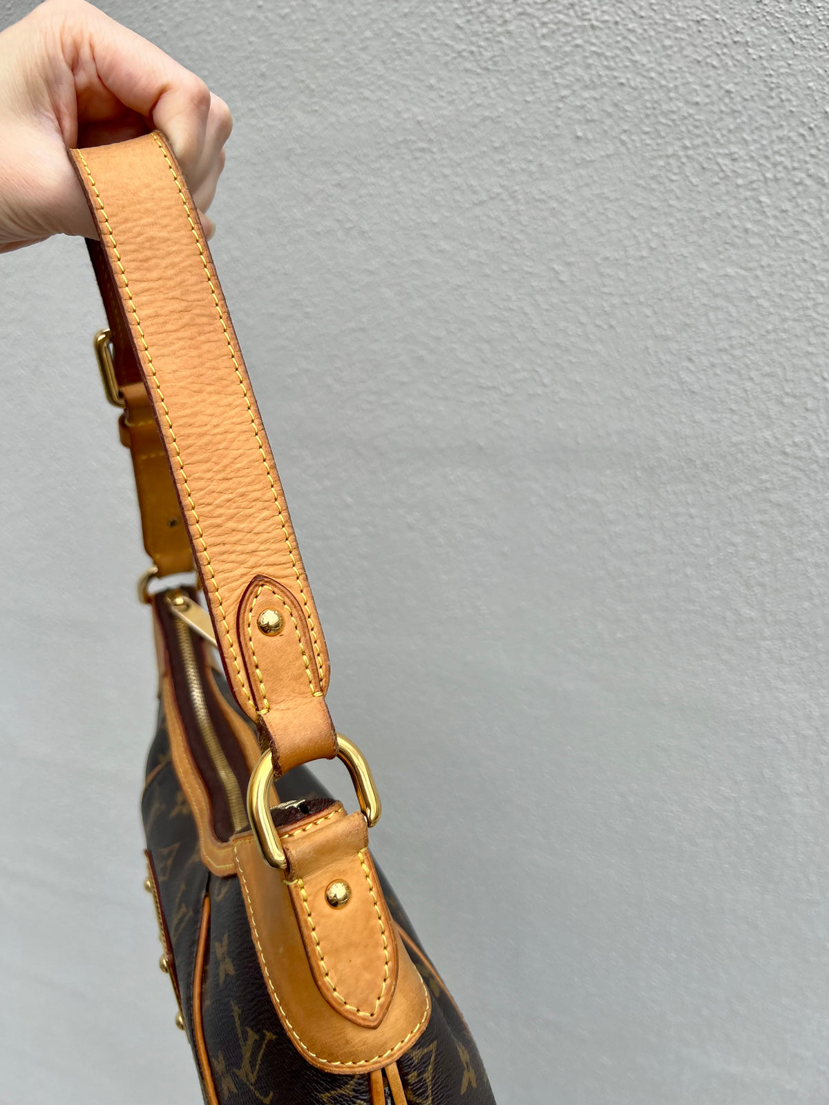 Pre-loved Louis Vuitton Thames PM Monogram 2009