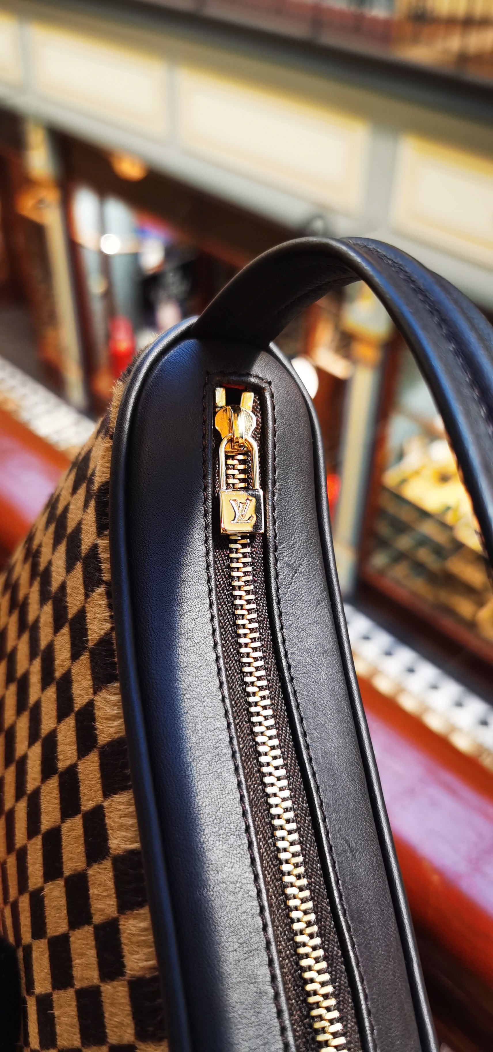Louis Vuitton, Bags, Louis Vuitton Damier Sauvage Leather Tigre Handbag